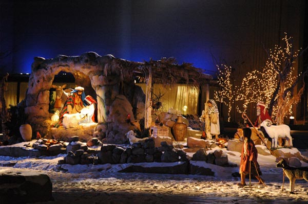 2004 Winter 193