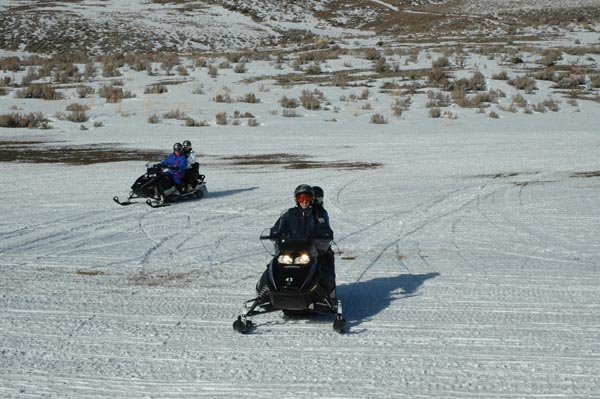 2004 Winter 229