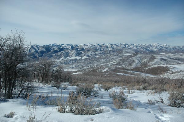 2004 Winter 244