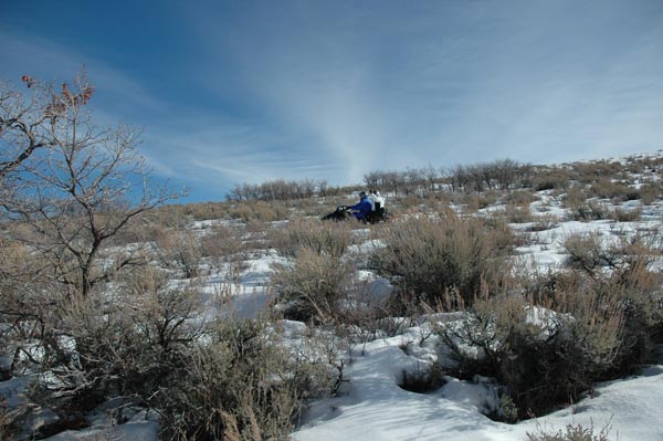 2004 Winter 246