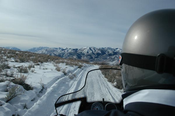 2004 Winter 279