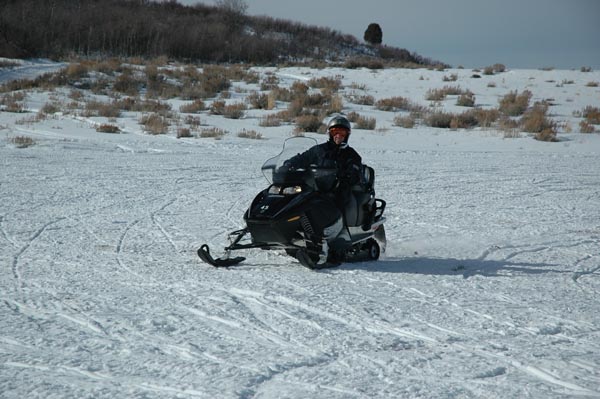 2004 Winter 313