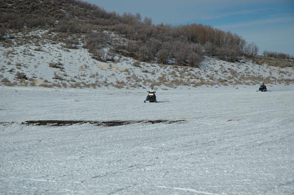 2004 Winter 318