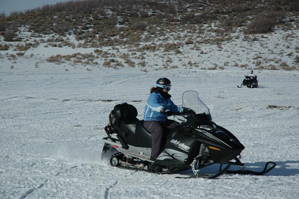 2004 Winter 331