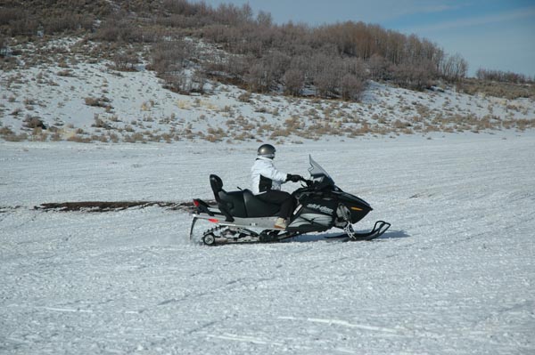 2004 Winter 335