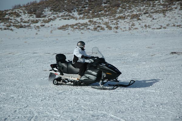 2004 Winter 342