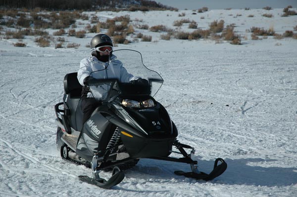 2004 Winter 356