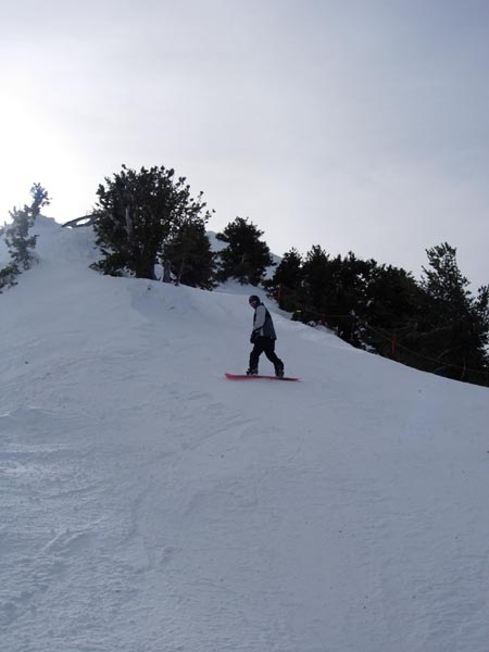 2004 Winter 404