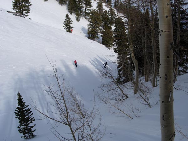 2004 Winter 427