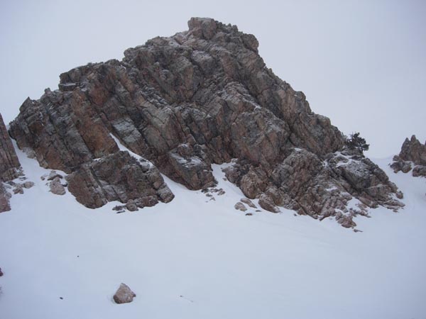 2004 Winter 439