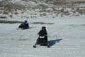2004 Winter 229