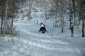 2004 Winter 290