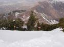 2004 Winter 397