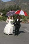 Formal_0220