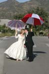 Formal_0230