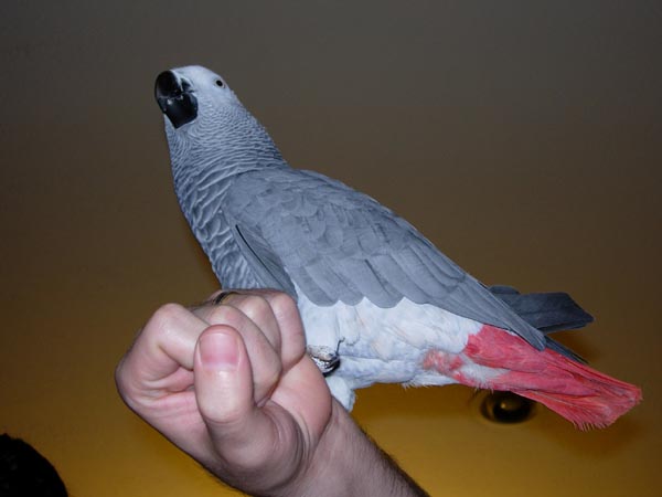 2004 Winter 030