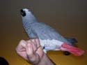 2004 Winter 030