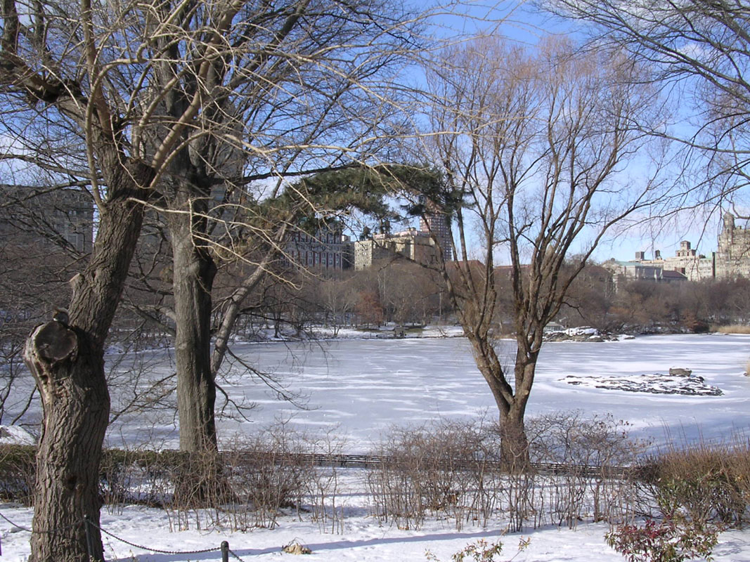 2004 New York 027
