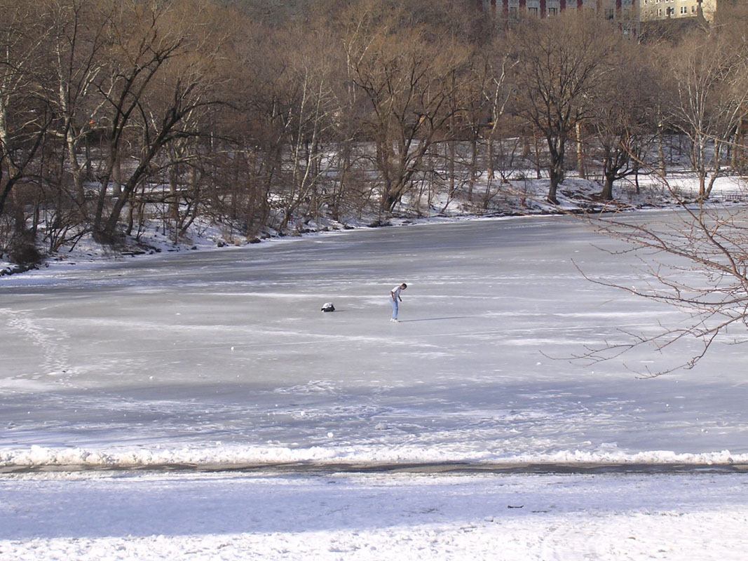 2004 New York 029