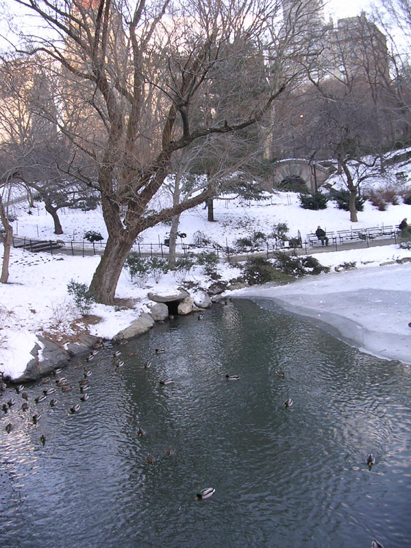 2004 New York 062