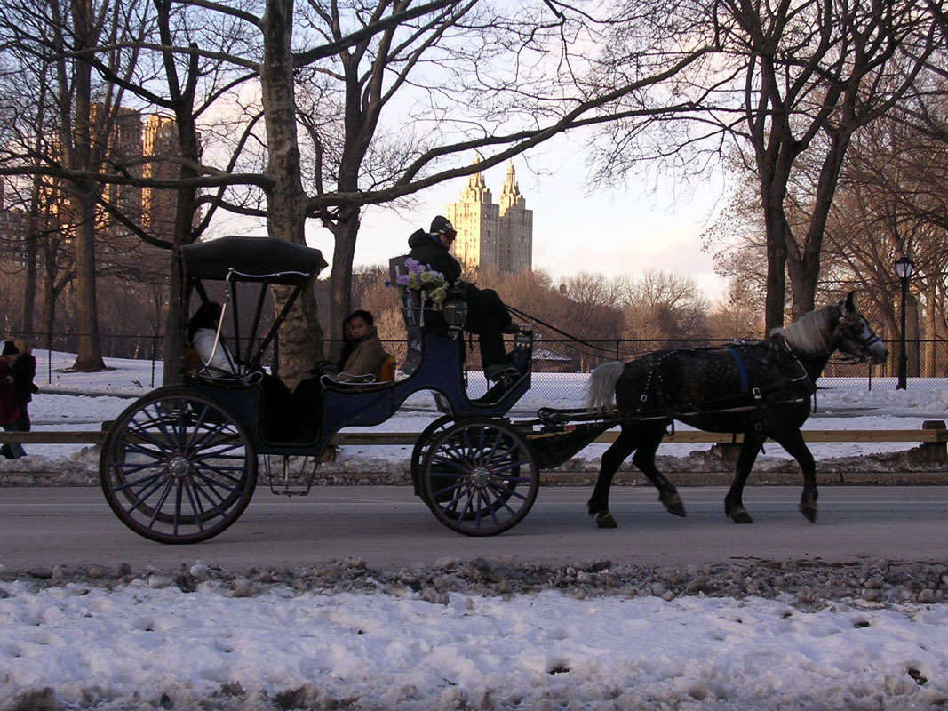 2004 New York 073