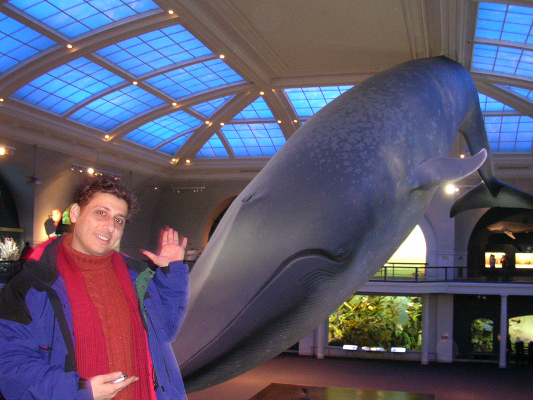2004 New York 086