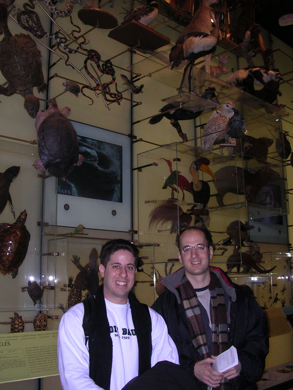 2004 New York 087