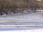 2004 New York 029
