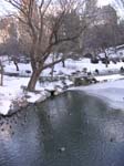 2004 New York 062