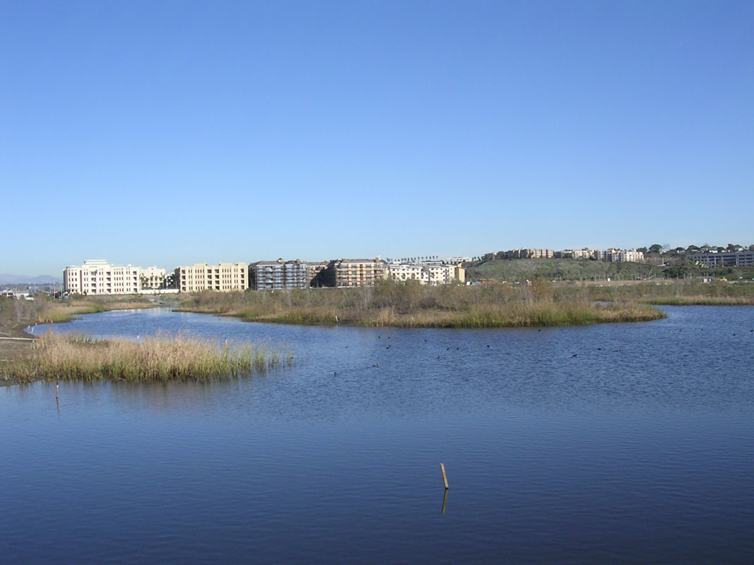 2004 Playa Vista 017