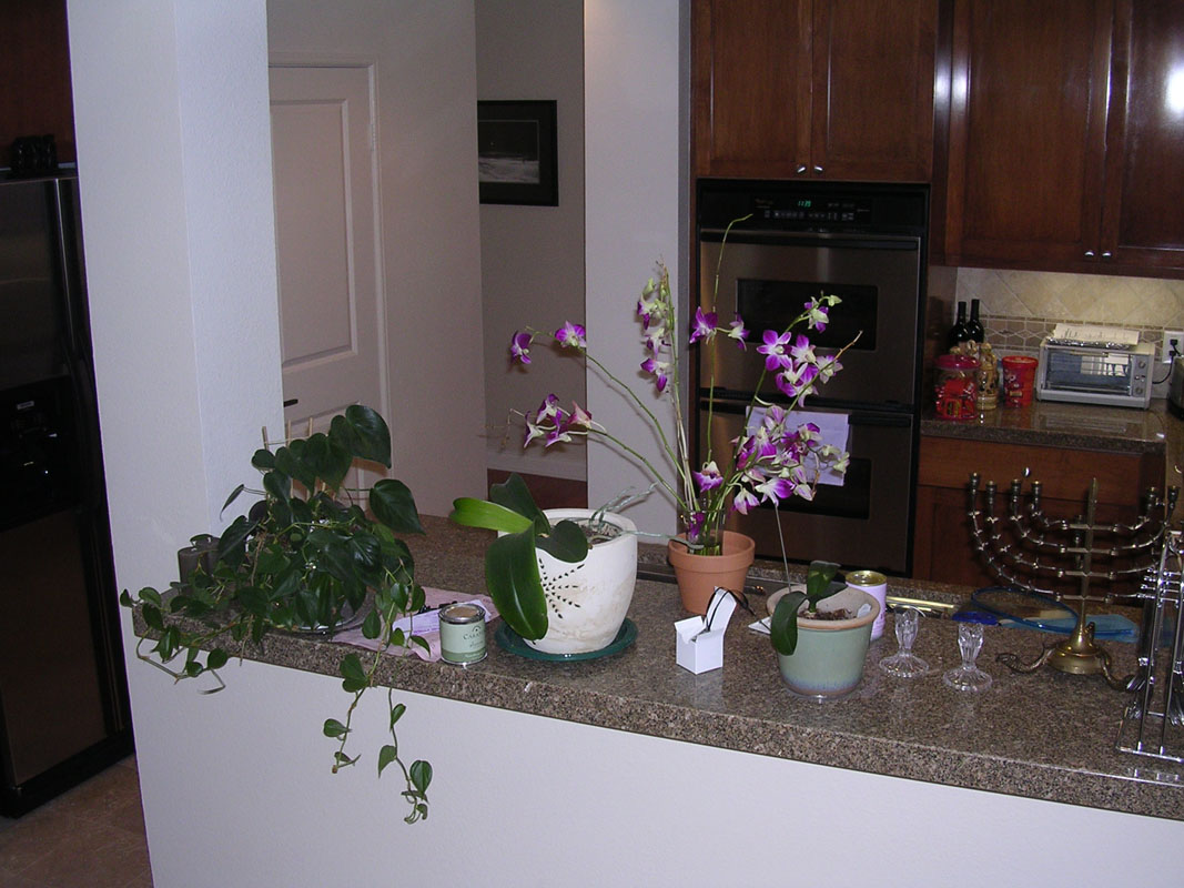 2004 Playa Vista 034