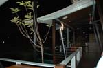 Tully_29
