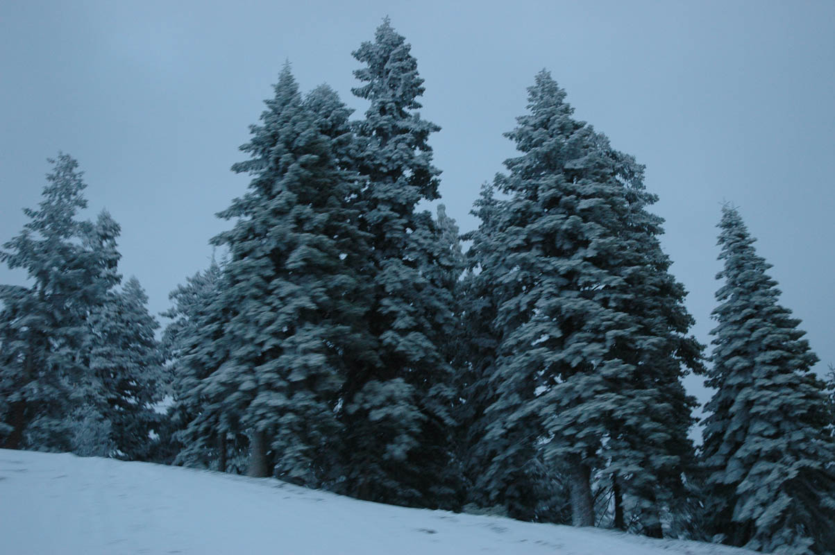 2005 Christmas 172