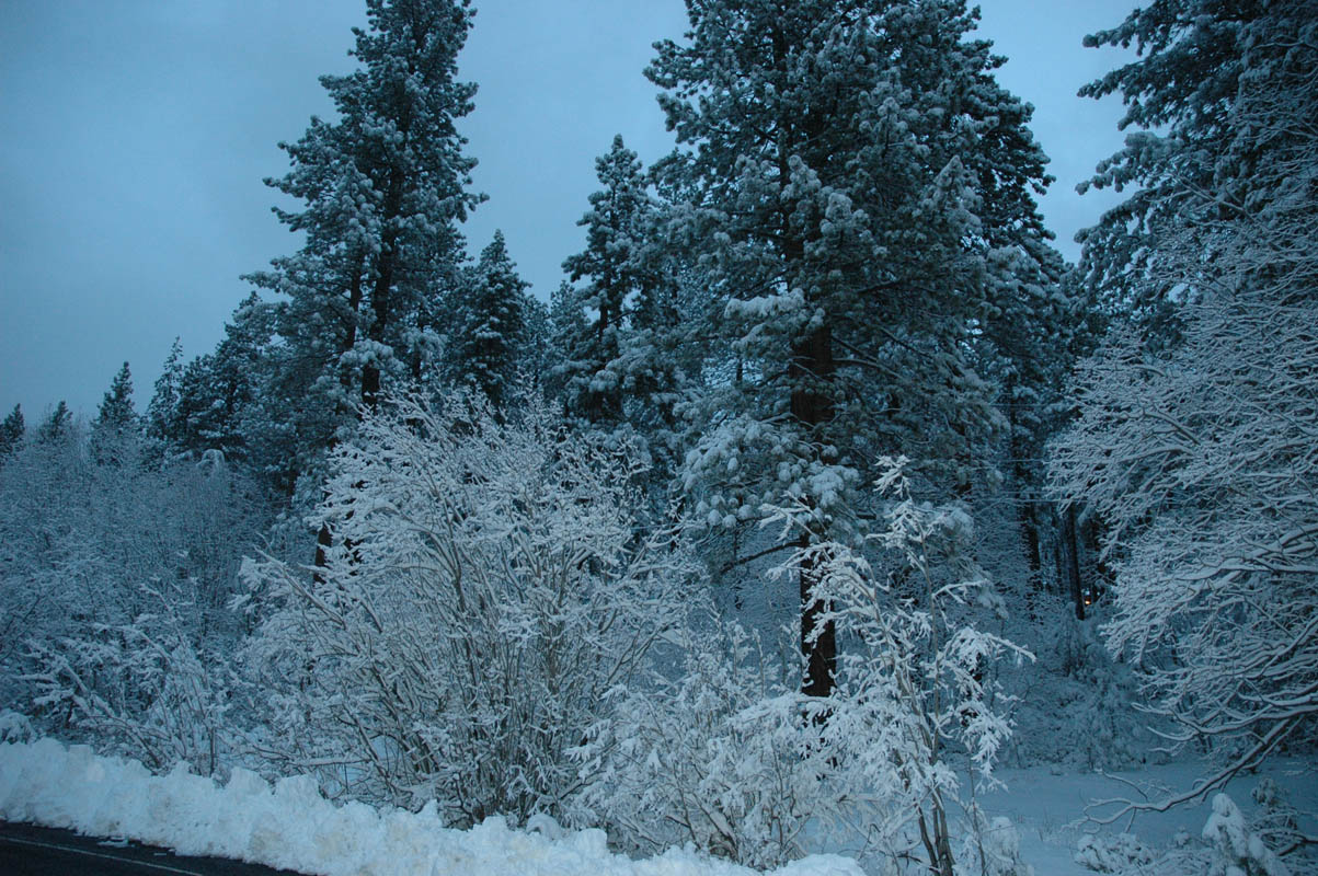2005 Christmas 191