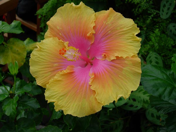 2005 Miscellaneous 026
