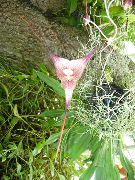 2005 Miscellaneous 033