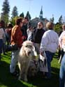 2005 Miscellaneous 077