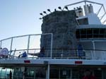 2005 Bachelor_Cruise 112