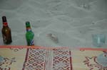 2005 Europe & Israel 1434