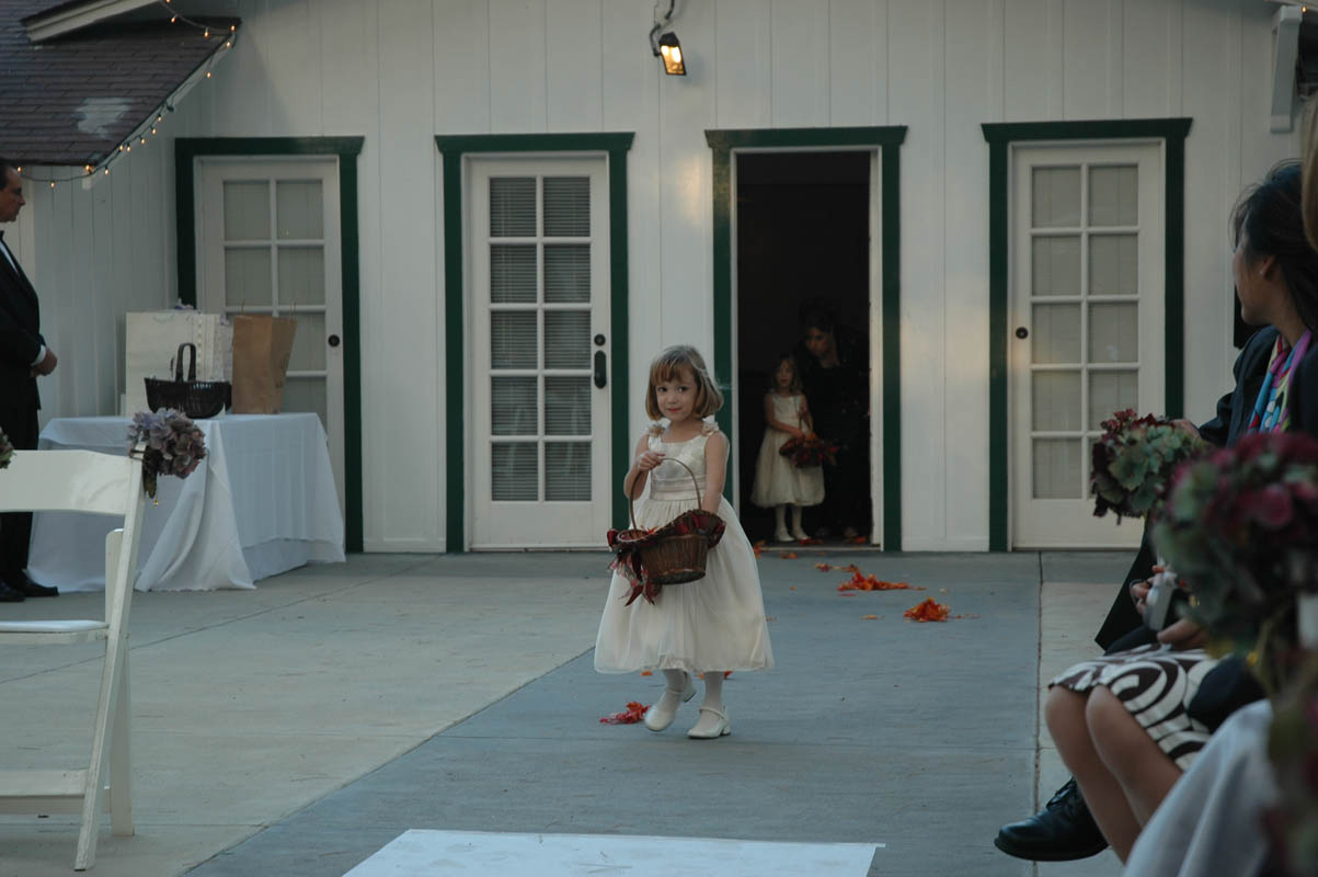 2005 Dashevsky Wedding 039