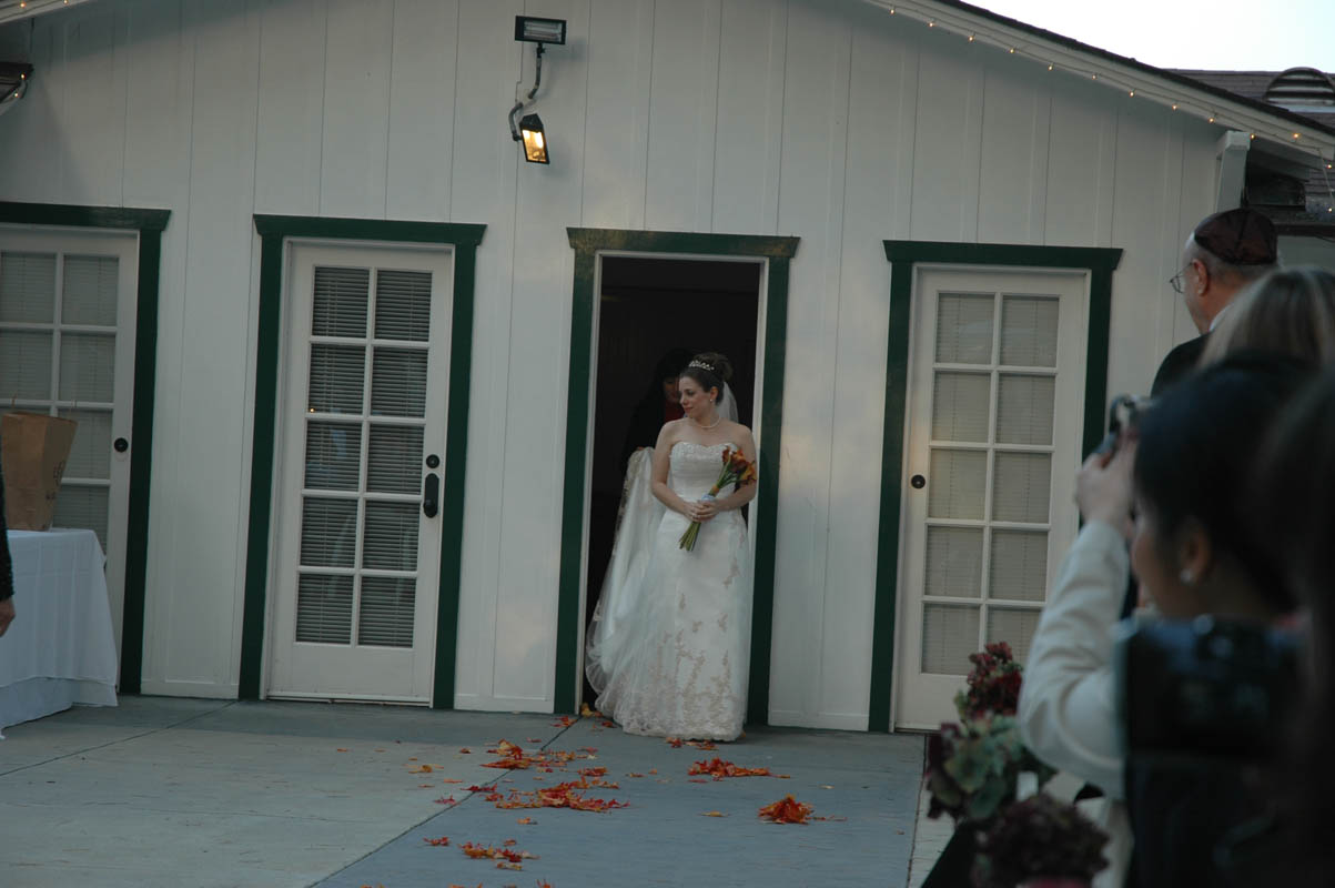 2005 Dashevsky Wedding 045