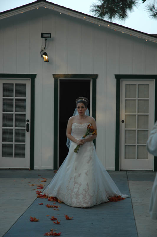 2005 Dashevsky Wedding 046