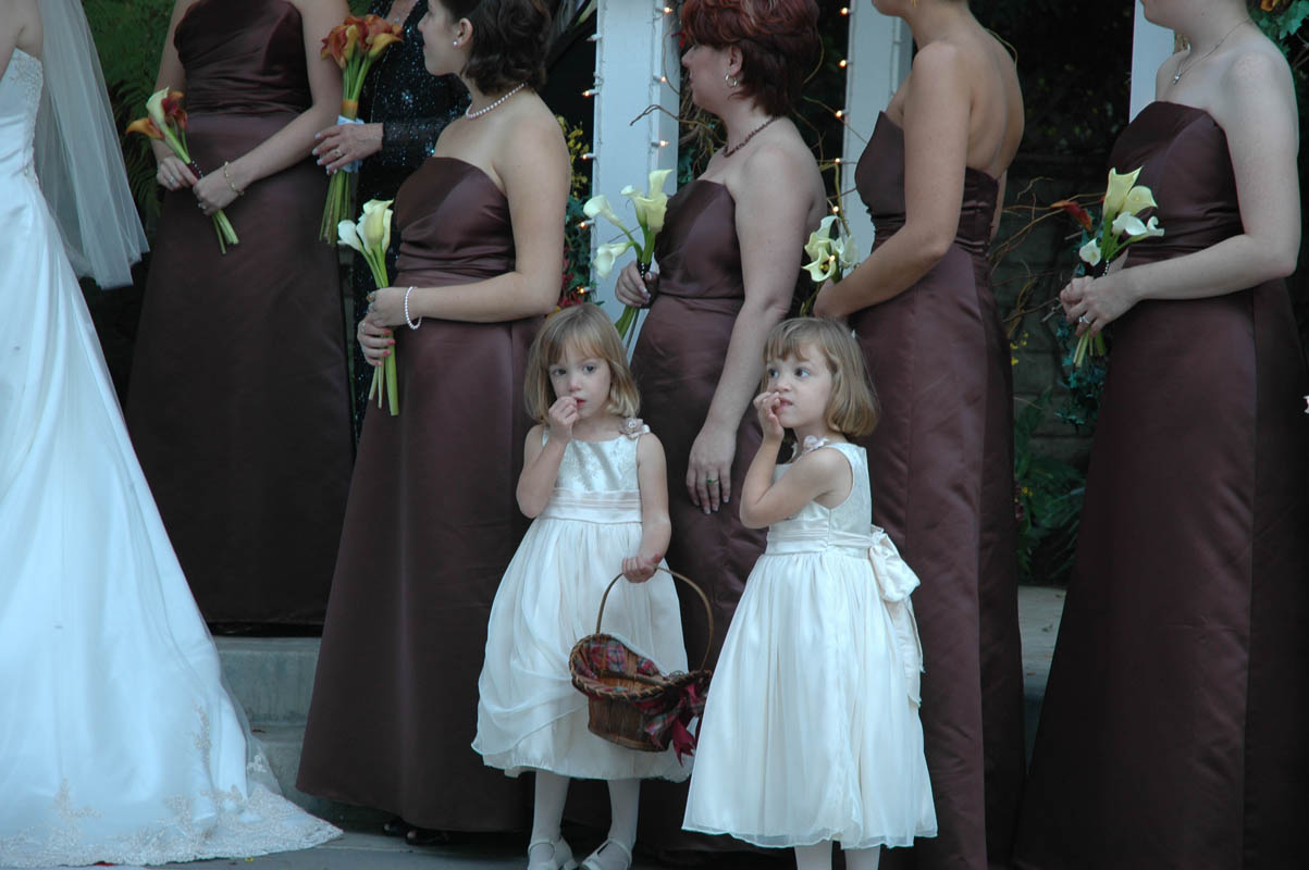 2005 Dashevsky Wedding 058