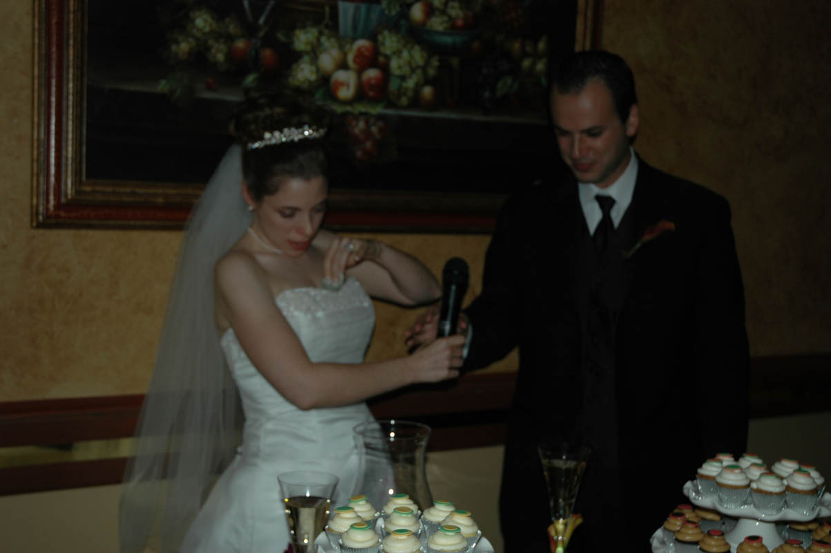 2005 Dashevsky Wedding 299