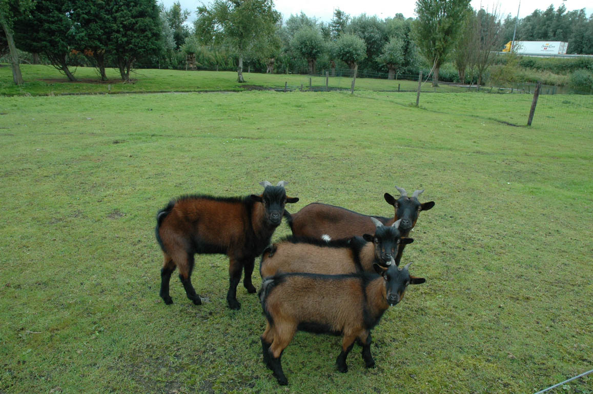 2005 Europe & Israel 905
