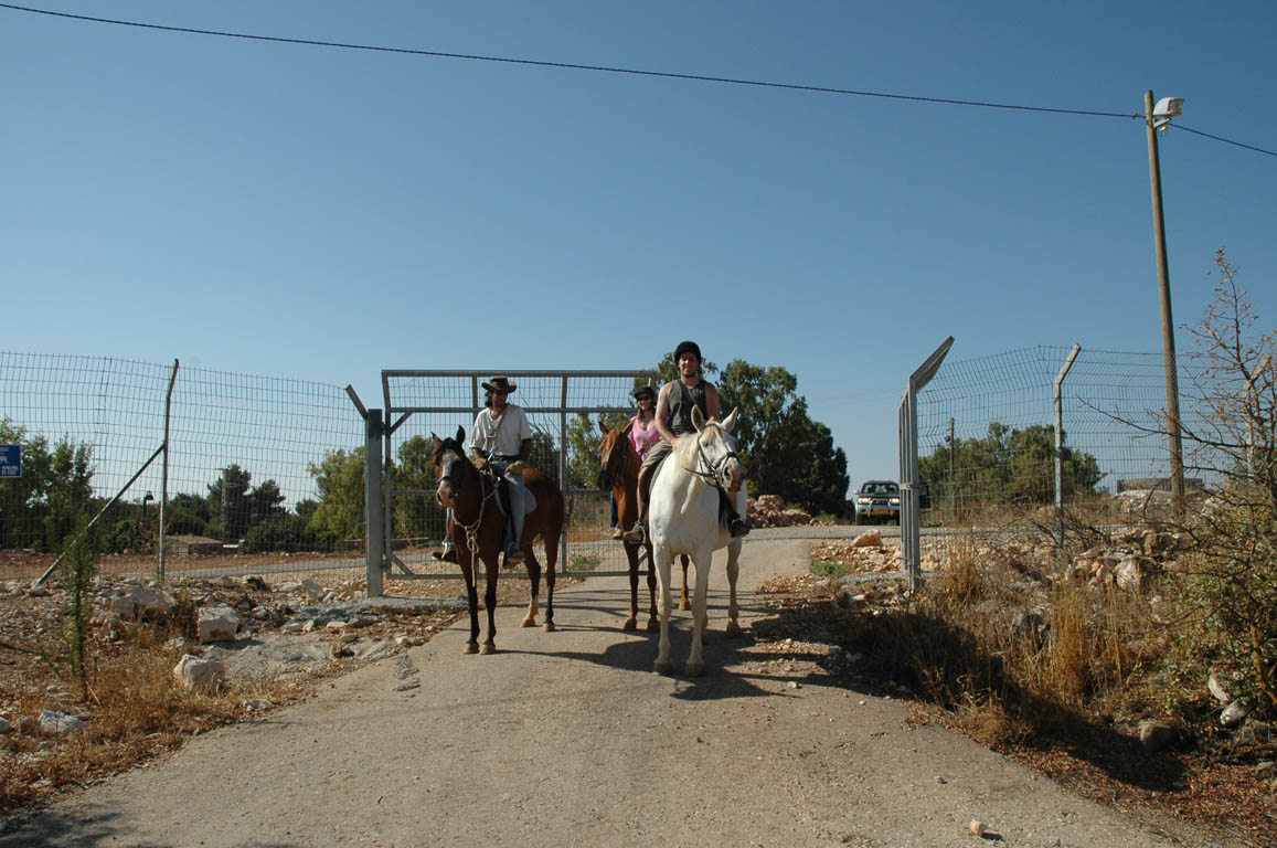 2005 Europe & Israel 2215