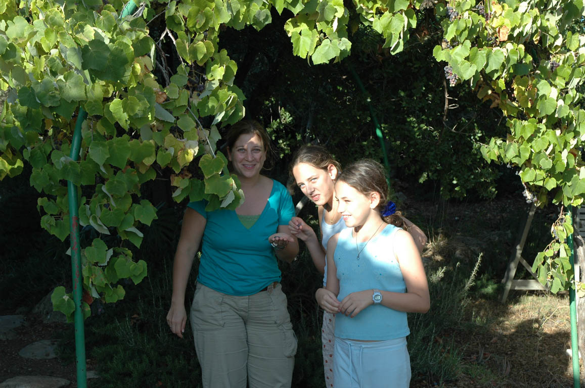 2005 Europe & Israel 2312