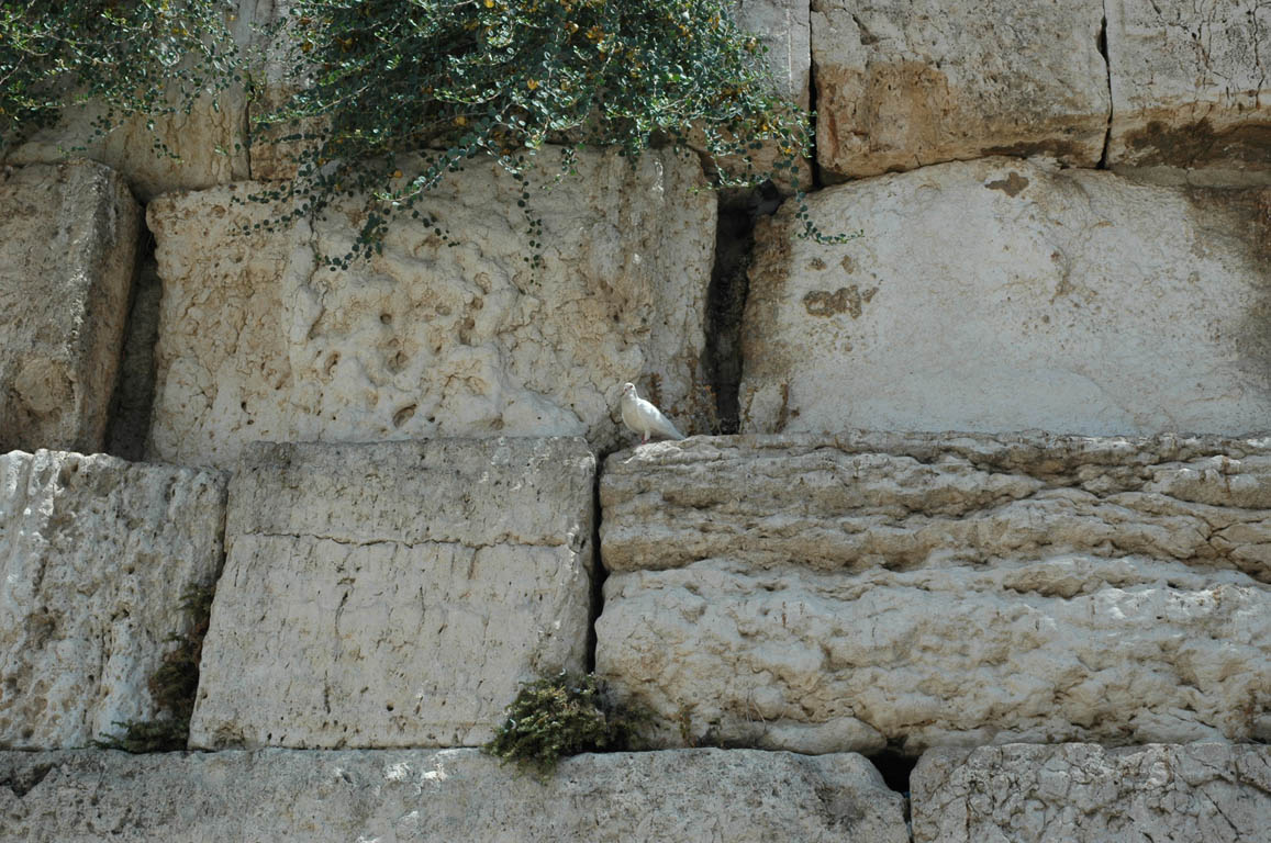 2005 Europe & Israel 2388