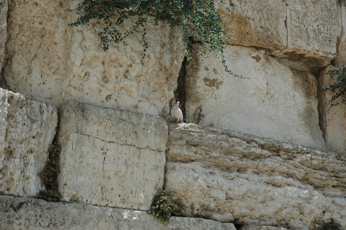 2005 Europe & Israel 2397