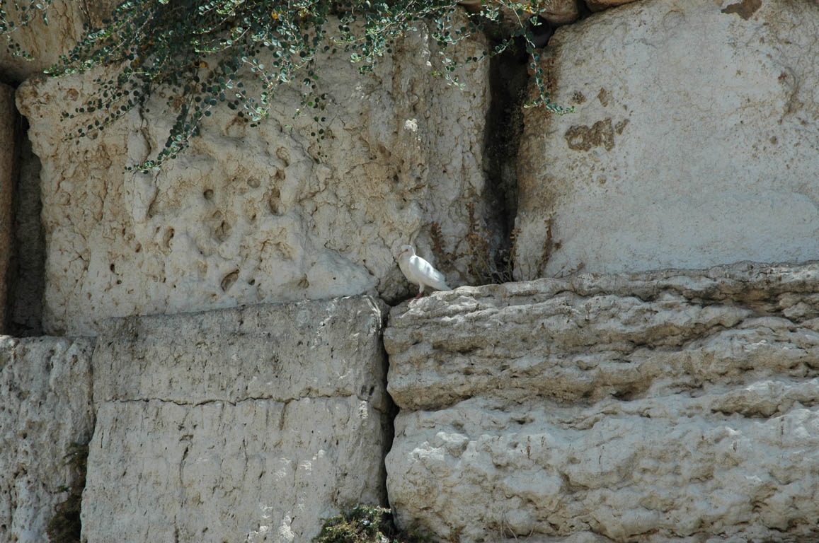 2005 Europe & Israel 2410